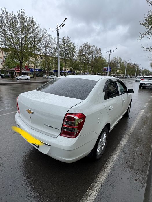 Cobalt 2025 monitorli