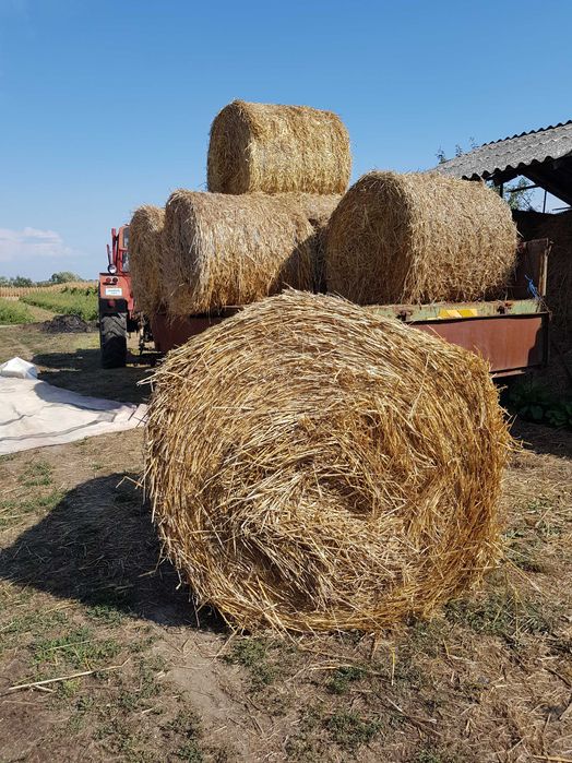 Vand Baloti rotunzi de paie