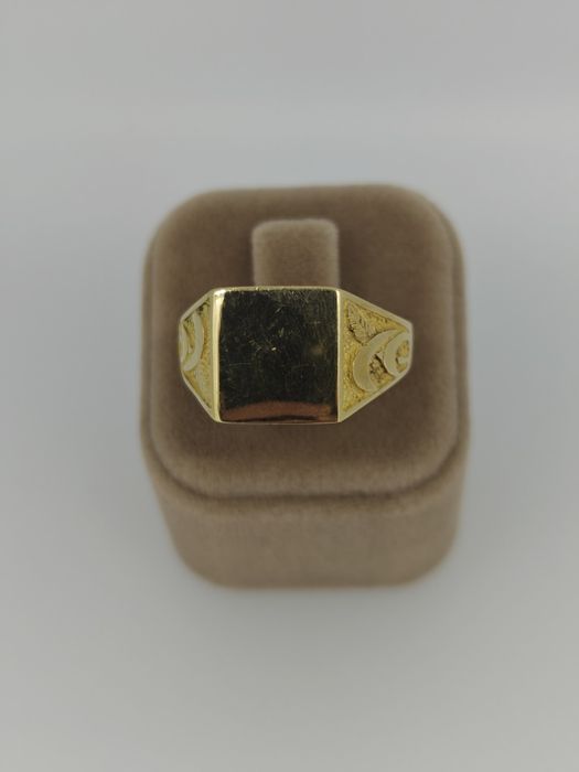 Ghiul aur 18k 7.99gr (r)