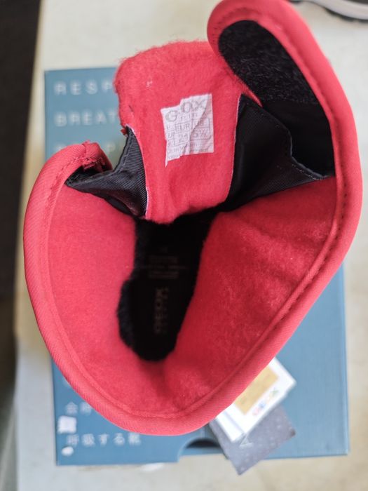 Сапожки Geox 20-21 р-р