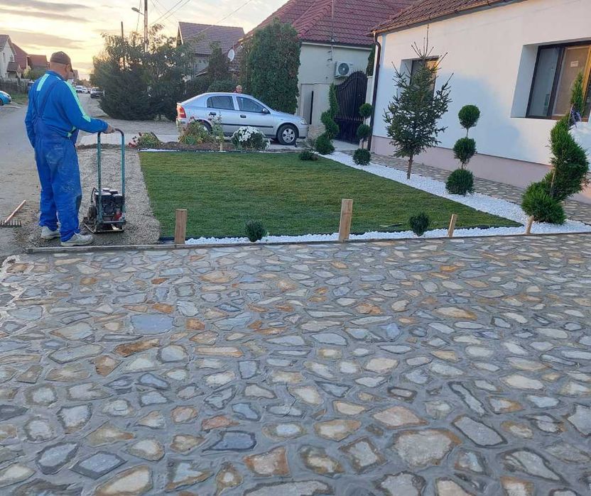 Gazon Rulou cu Aspect Profesional și Verde Intens