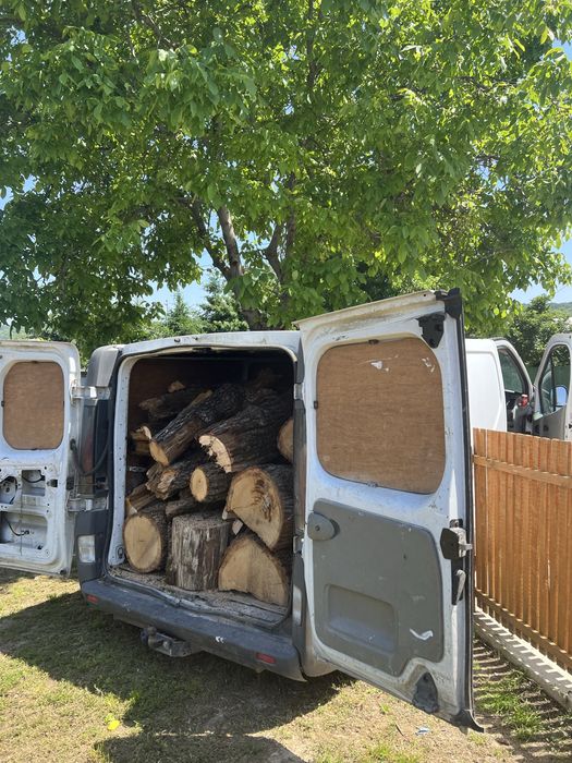 Vand vam   1.9  2006 renault trafic volan dreapta