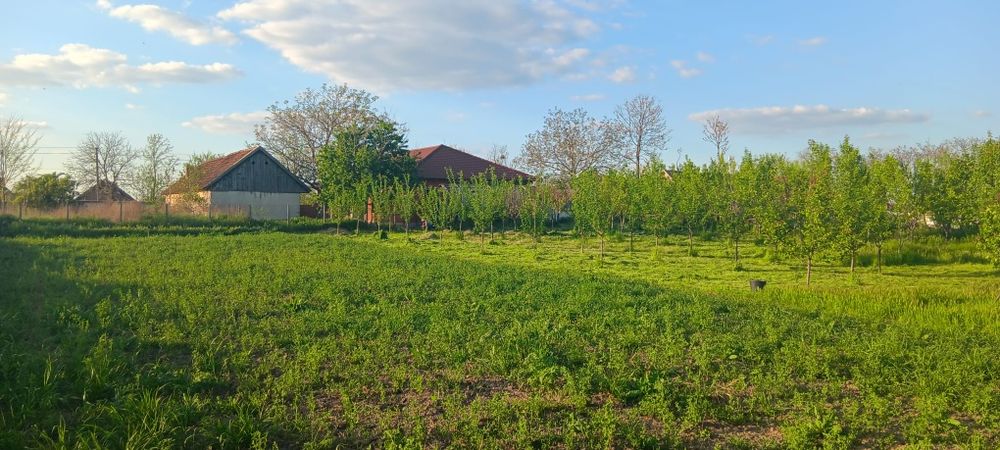 Vând casa la Grăniceri 285mp cu gradina suprafață totală 4500 mp