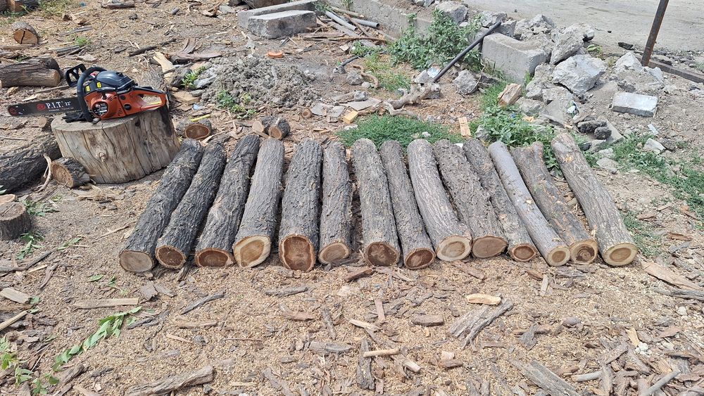 карагач бревна для декора