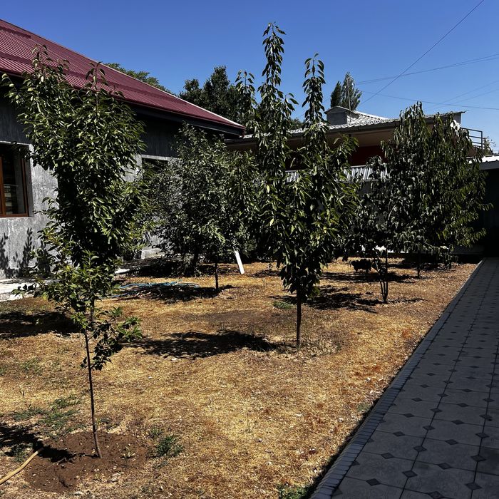 Отель в Чирчике. Без ЗАГСа