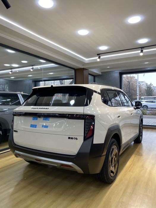 Dongfeng Nammi 06(EV)