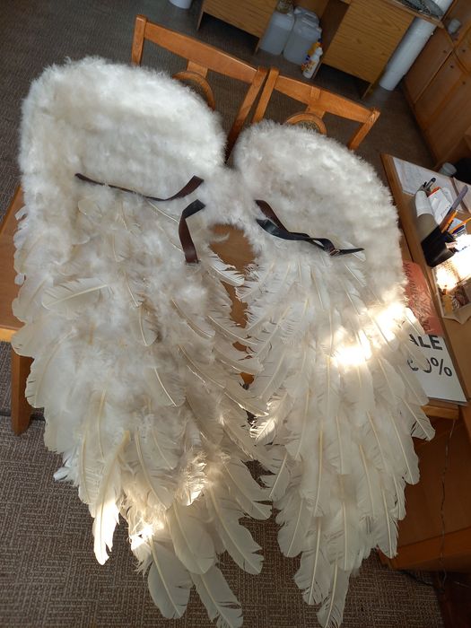 Продам крылья ангела. В упаковке.