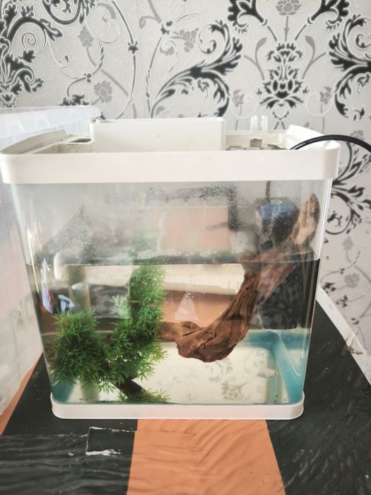 Продам аквариумы