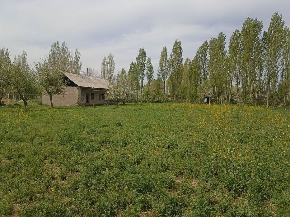 Yer sotiladi vremiyankasi bilan