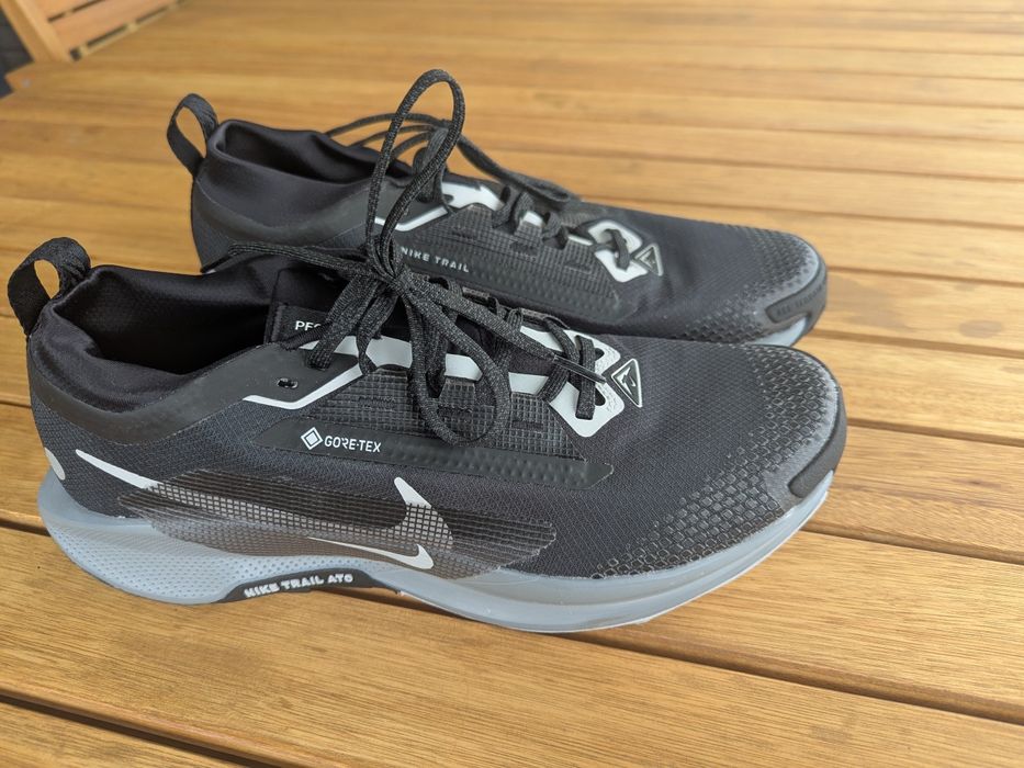 Nike trail goretex 43