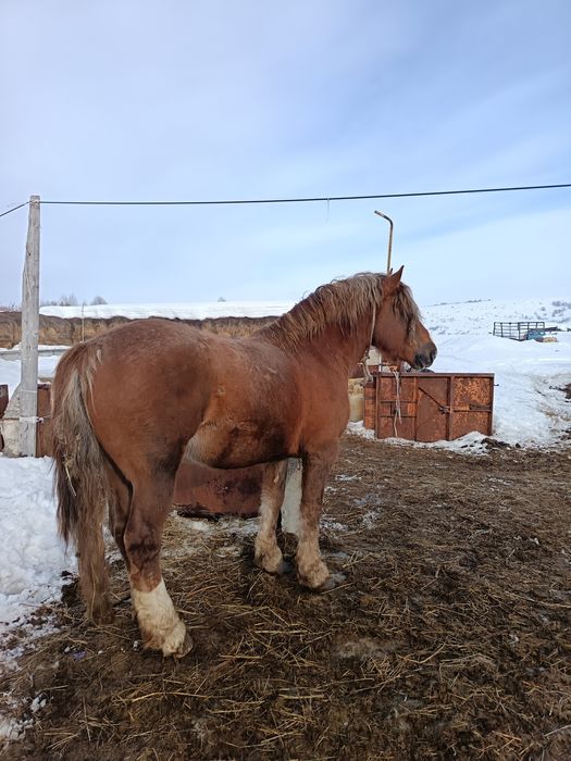 Советский тяжеловоз