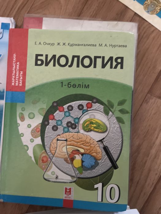 Китаптар, мектеп программасы бойынша ентга дайындык