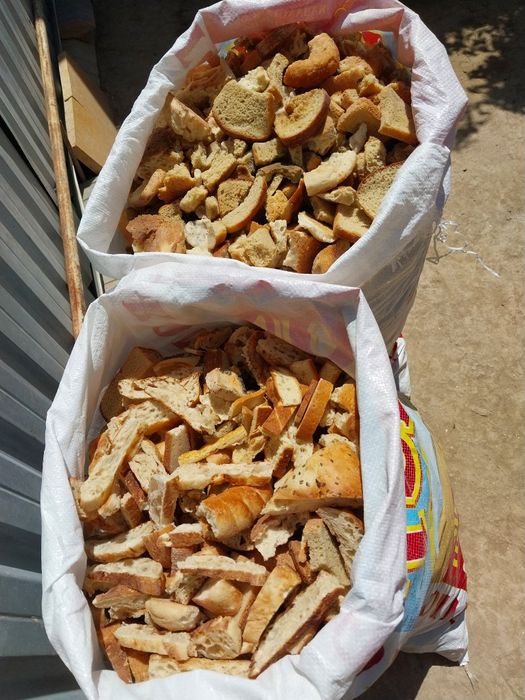 Чорва учун котган нон