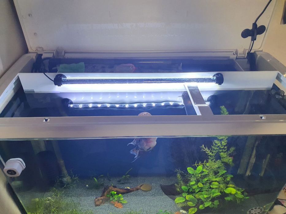Заводской аквариум с рыбой