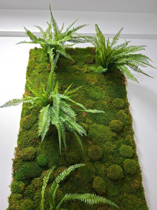 Panou si cerc decorativ cu licheni decorativi