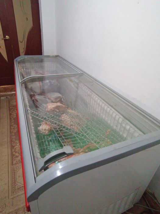 Морозильник 1тонный