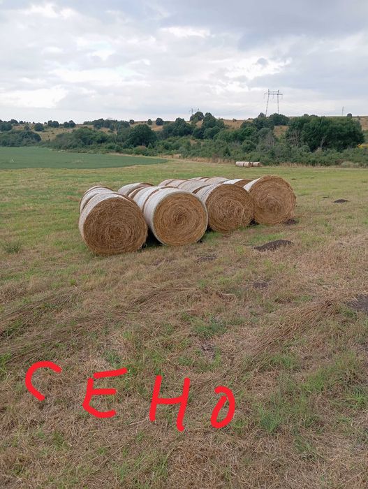 Бали люцерна сено смеска