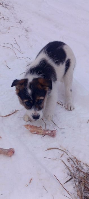 Мы хотим стать частью Вашей семьи)