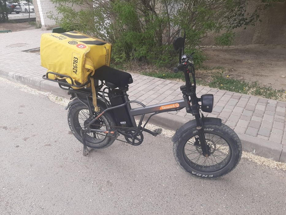 Электровелик леопард