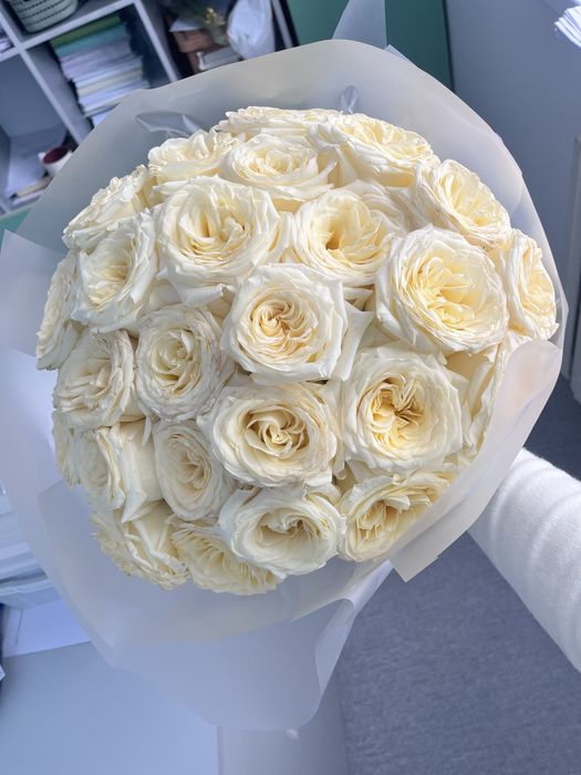 Сары Раушан гүлдері