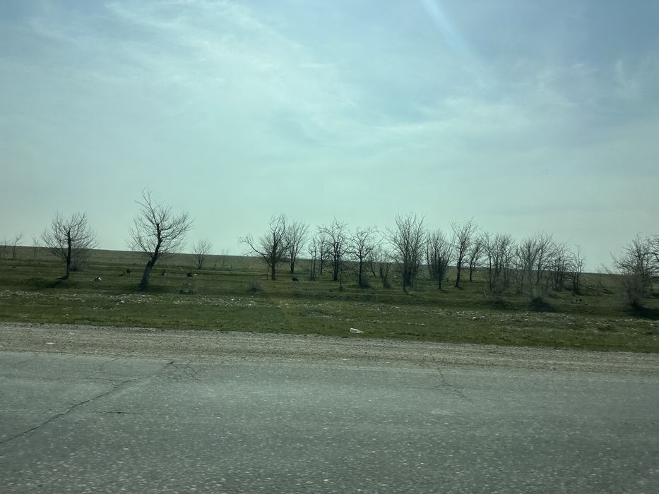 сдается земля в аренду