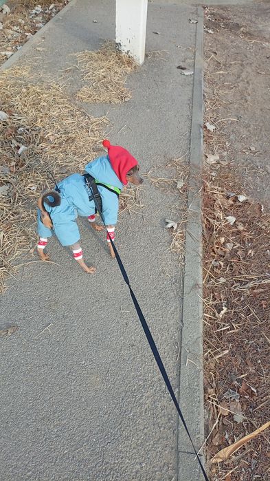 Ищем девочку для кабеля