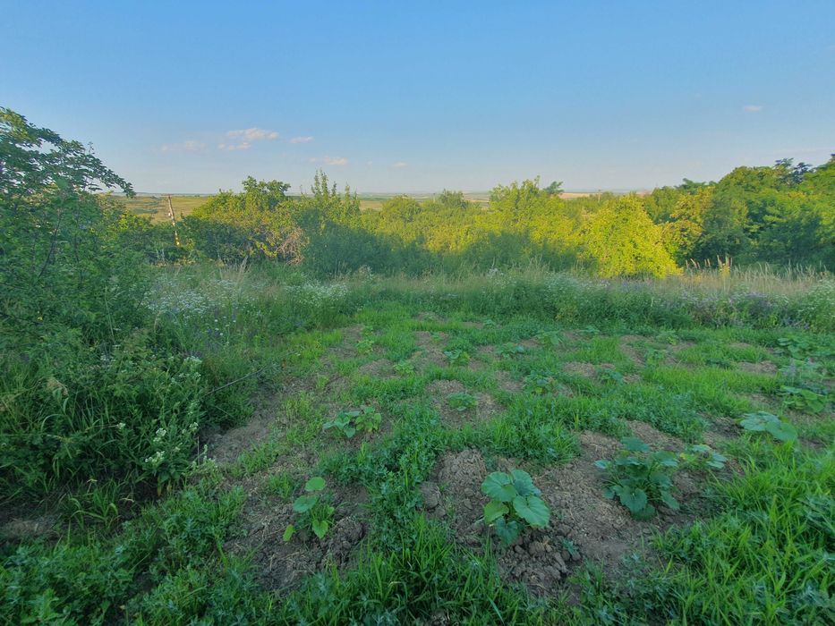 Teren - 16000 mp (parcele) si casa P+M - Baiceni, com. Cucuteni