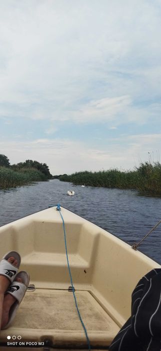 Bărci de închiriat