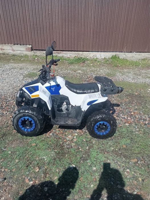 квадроцикл 110cc (Tao Motor Mudhawk).
