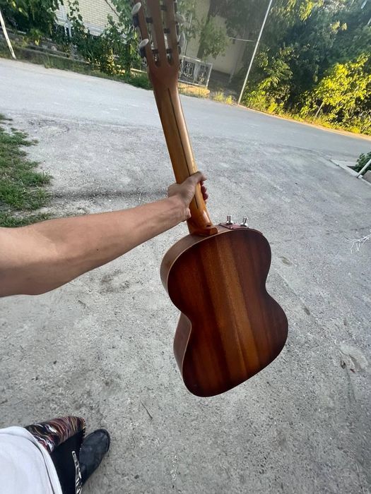 Elektronni arginal gitata