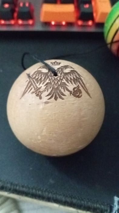 Tama paramerion V1 Andrei bogdan vulture mare