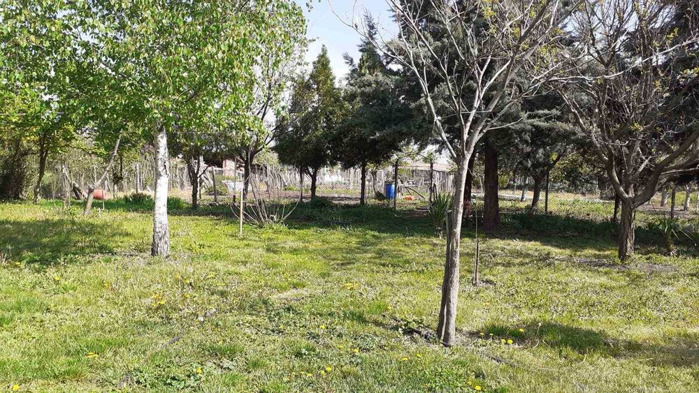 Продава се Къща в с. Правище, Област Пловдив - 120 кв.м за 535 €/кв.м - Снимка #7