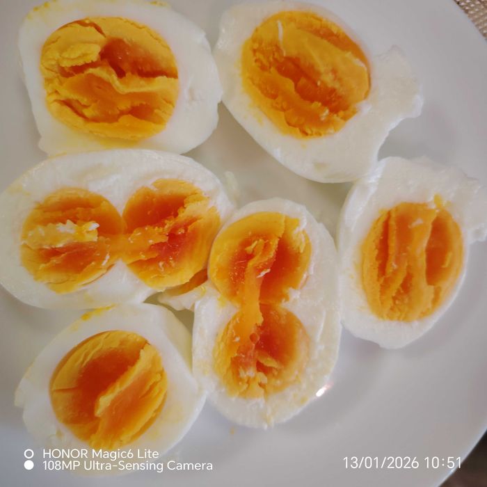 Oua gasca și găină