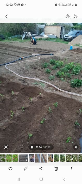 Продам дачу со Агротехснаб