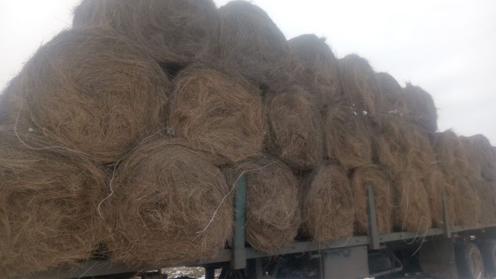Сено в рулонах продам с доставкой