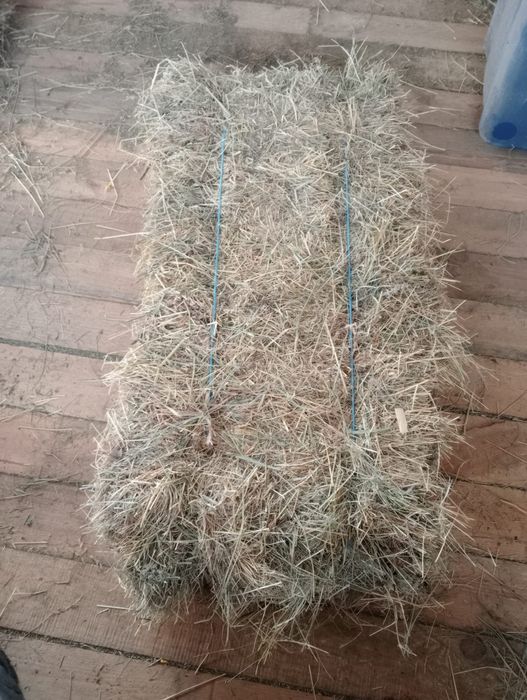 Baloti de fan de vanzare