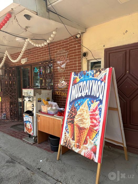 BIN ZHILE марожений аппарат