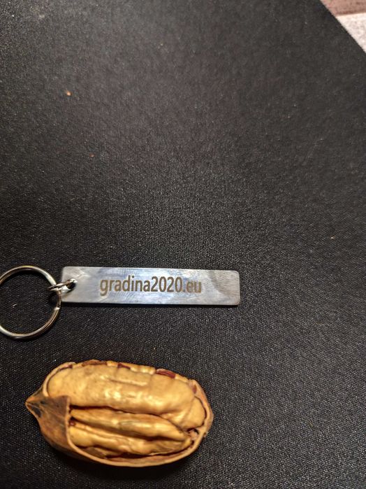 Разсад Орех Пекан