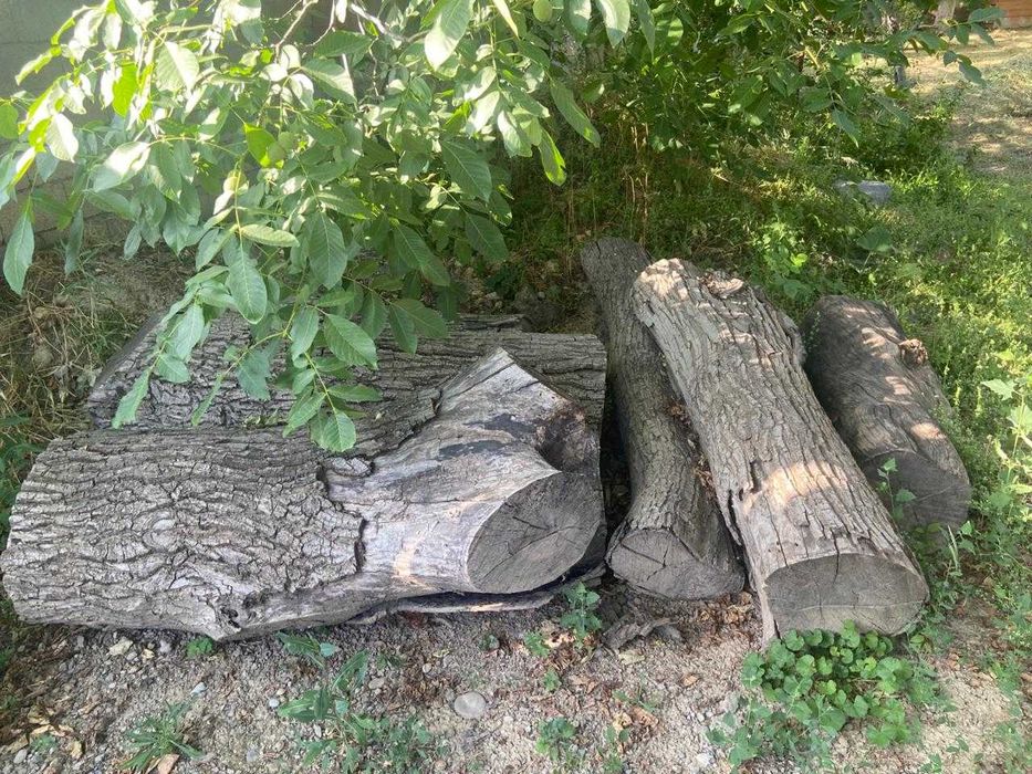 Продаются бревна и дрова