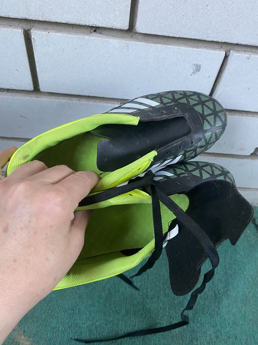 Продам будцы