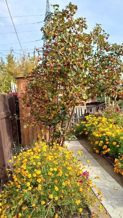 Продажа части дома