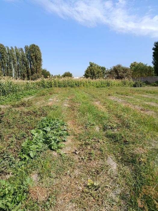 Участка ховли  ери билан сотилади