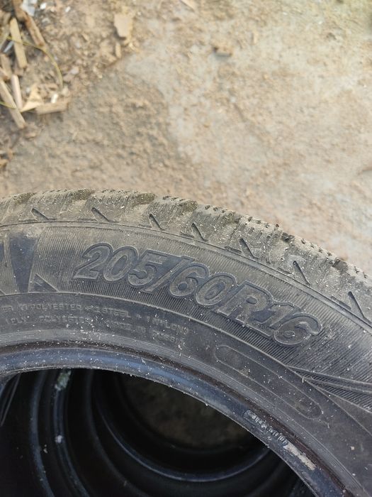 Зимние шины Cardiant