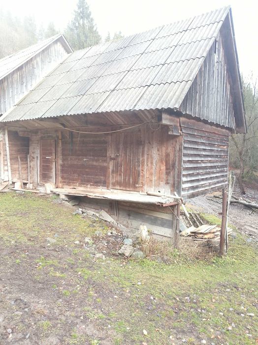 Vind grajd din birna