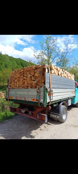 Lemn de foc fag 600 tona sau la metru ster