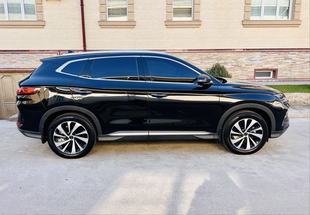 BYD chempion 605 tali Kraska Tozza 100%