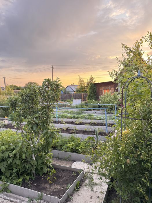 Продам дачу о. Пестрое