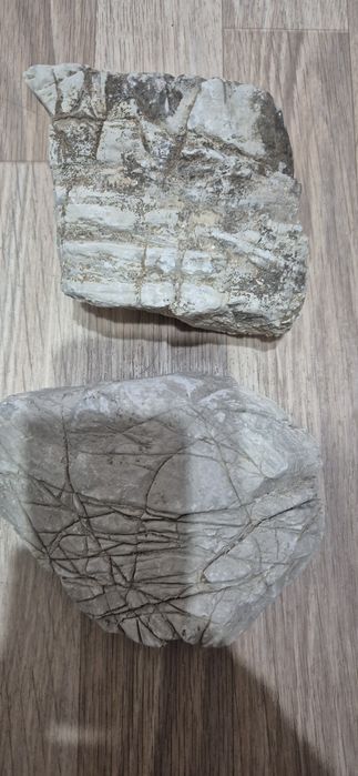 Продам камни слоновая кость.