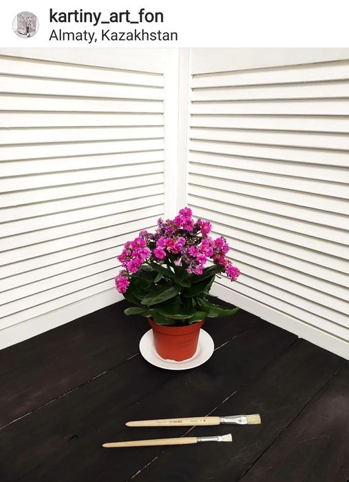 Фотофон для предметной съёмки в Инстаграм.