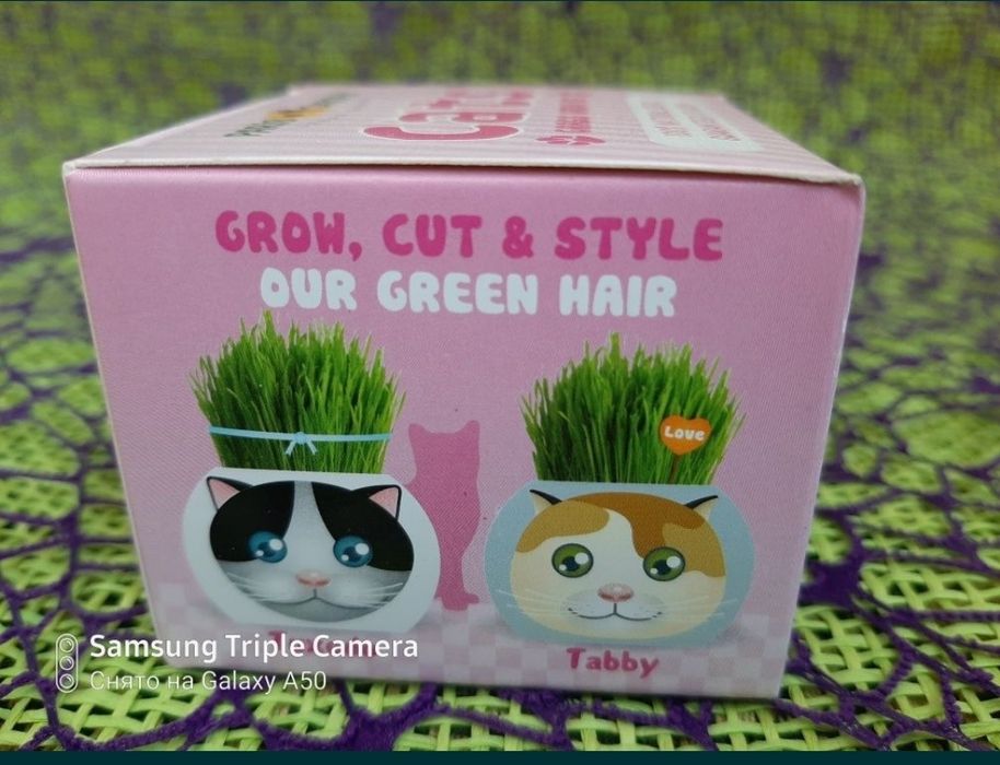 Необычный подарочек деткам